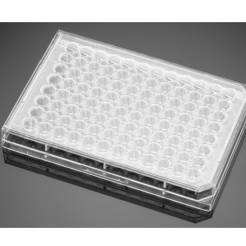 Falcon® 96 Well Clear Round Bottom TC-Treated Cell Culture Plate, with Lid, Individually Wrapped, Sterile, 50/Case