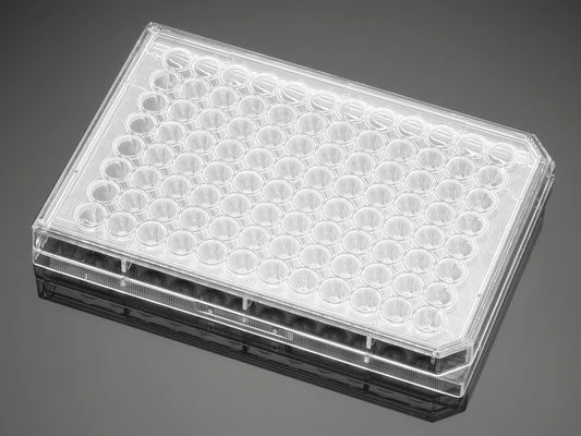 Falcon® 96 Well Clear Round Bottom Not Treated Microplate, with Lid, Individually Wrapped, Sterile, 50/Case