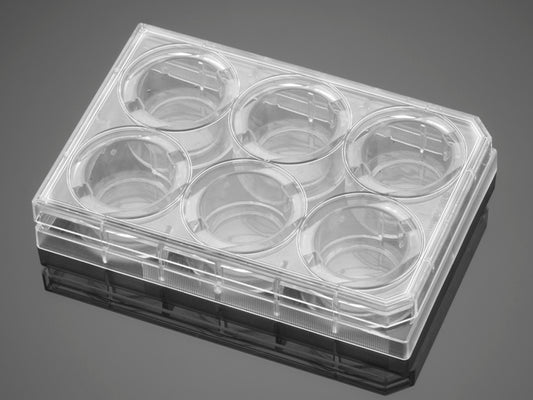 Corning® BioCoat™ Fibronectin 6 Well Clear Flat Bottom TC-Treated Multiwell Plate, with Lid, Nonsterile, 5/Case