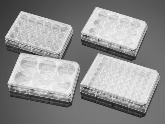 CorningĀ® BioCoatĀ® Collagen I 12 Well Clear Flat Bottom TC-Treated Multiwell Plate, with Lid, Nonsterile, 5/Case