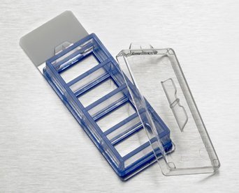 Corning® Biocoat™ Collagen I 4 Well CultureSlide, 4/Pack, 12/Case