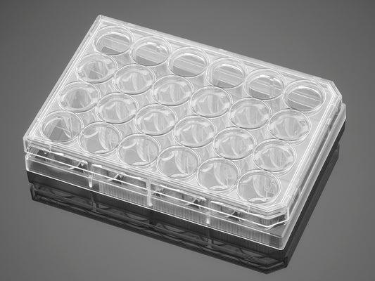 Corning® PureCoat™ Collagen I Peptide 24 Well Clear Plate, with Lid, Sterile, 5/Pack, 10/Case