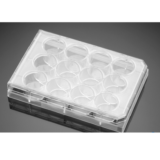 Falcon® 12 Well TC-Treated Polystyrene Permeable Support Companion Plate, with Lid, Sterile, 1/Pack, 50/Case