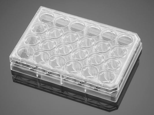Corning® PureCoat™ Amine 24 Well TC-Treated Plate, 5/Pack, 50/Case