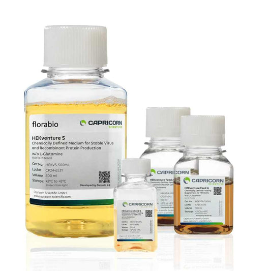 HEKventure, Capricorn