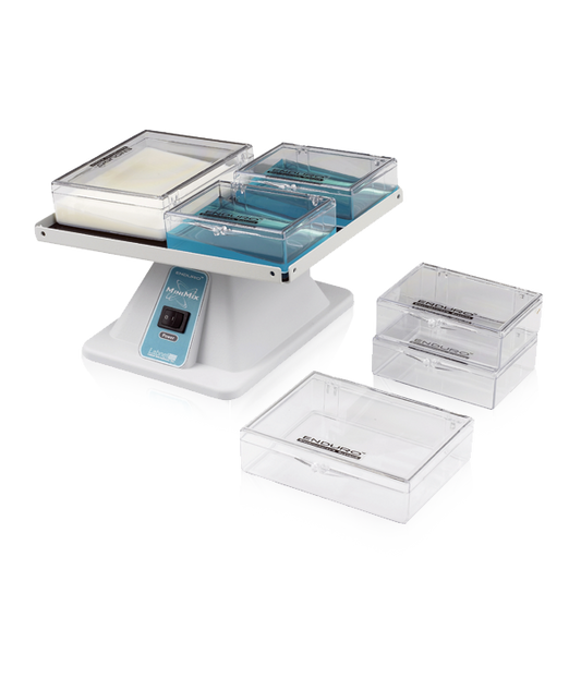 Blot box, 11.7 x 8.9 cm, 6-10 ml capacity, for larger mini protein gels, 10/pack, Labnet