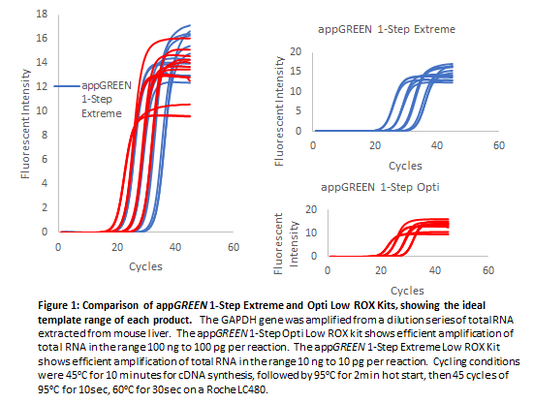 appGREEN 1-Step Extreme High ROX RT-qPCR Kit