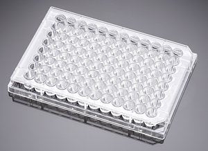 Corning® BioCoat™ Poly-L-Lysine 96 Well Clear TC-Treated Flat Bottom Assay Plate, with Lid, Nonsterile, 5/Pack, 50/Case