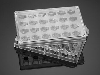 Falcon® HTS 24 Well Multiwell Permeable Support System with 3.0µm High Density PET Membrane, Sterile, 5/Pack, 5/Case