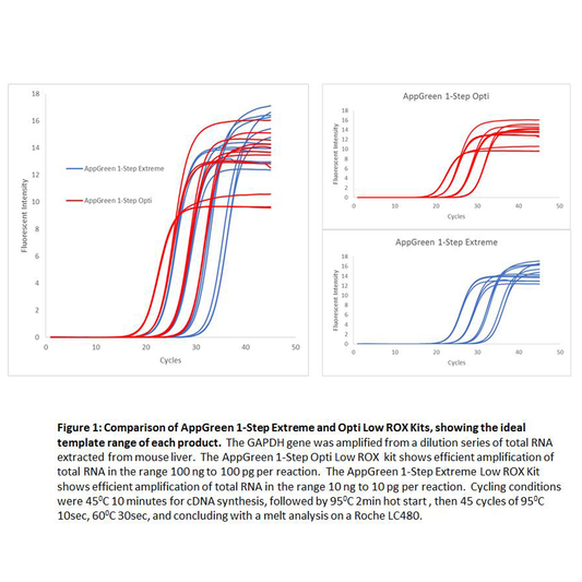 appGREEN 1-Step Extreme Low ROX RT-qPCR Kit