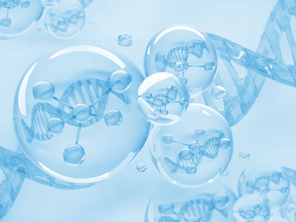 Understanding Gel Electrophoresis...