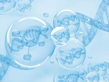 Understanding Gel Electrophoresis...