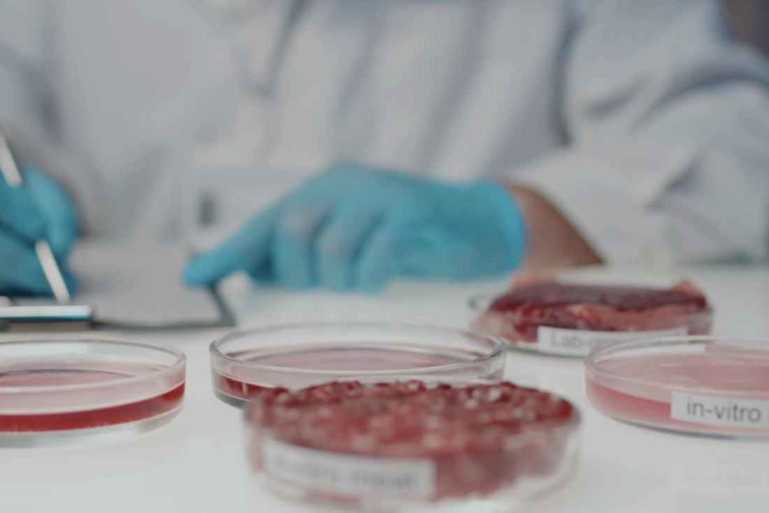 The Future of Food: Lab‑Grown Meat, Dairy and Sugar in the UK