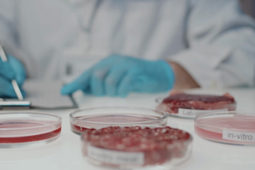The Future of Food: Lab‑Grown Meat, Dairy and Sugar in the UK