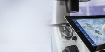 ZEISS Primovert: Ergonomic Microscopy for Efficient Lab Workflows
