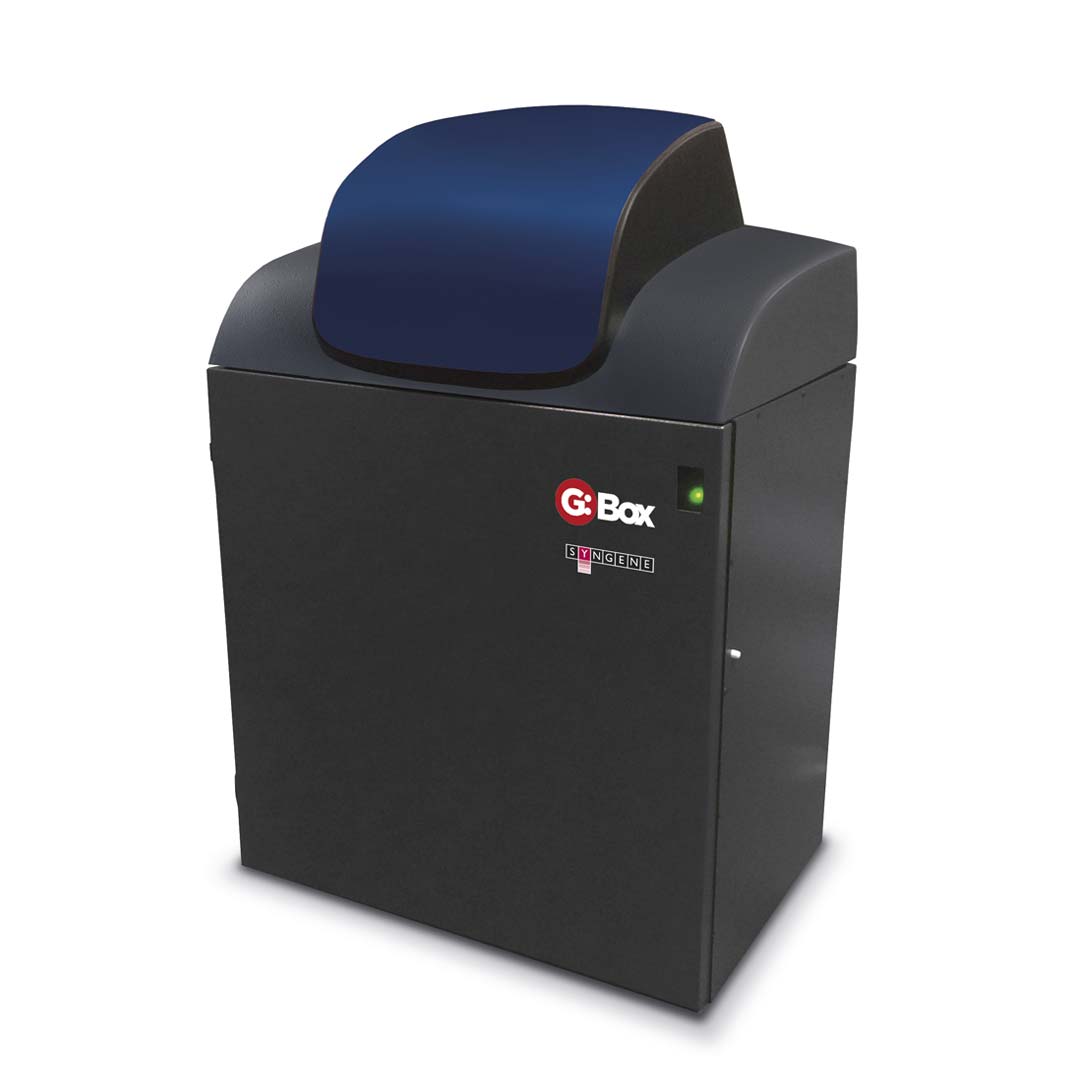Gel Electrophoresis & Imaging – Appleton Woods | UK Lab Supplies