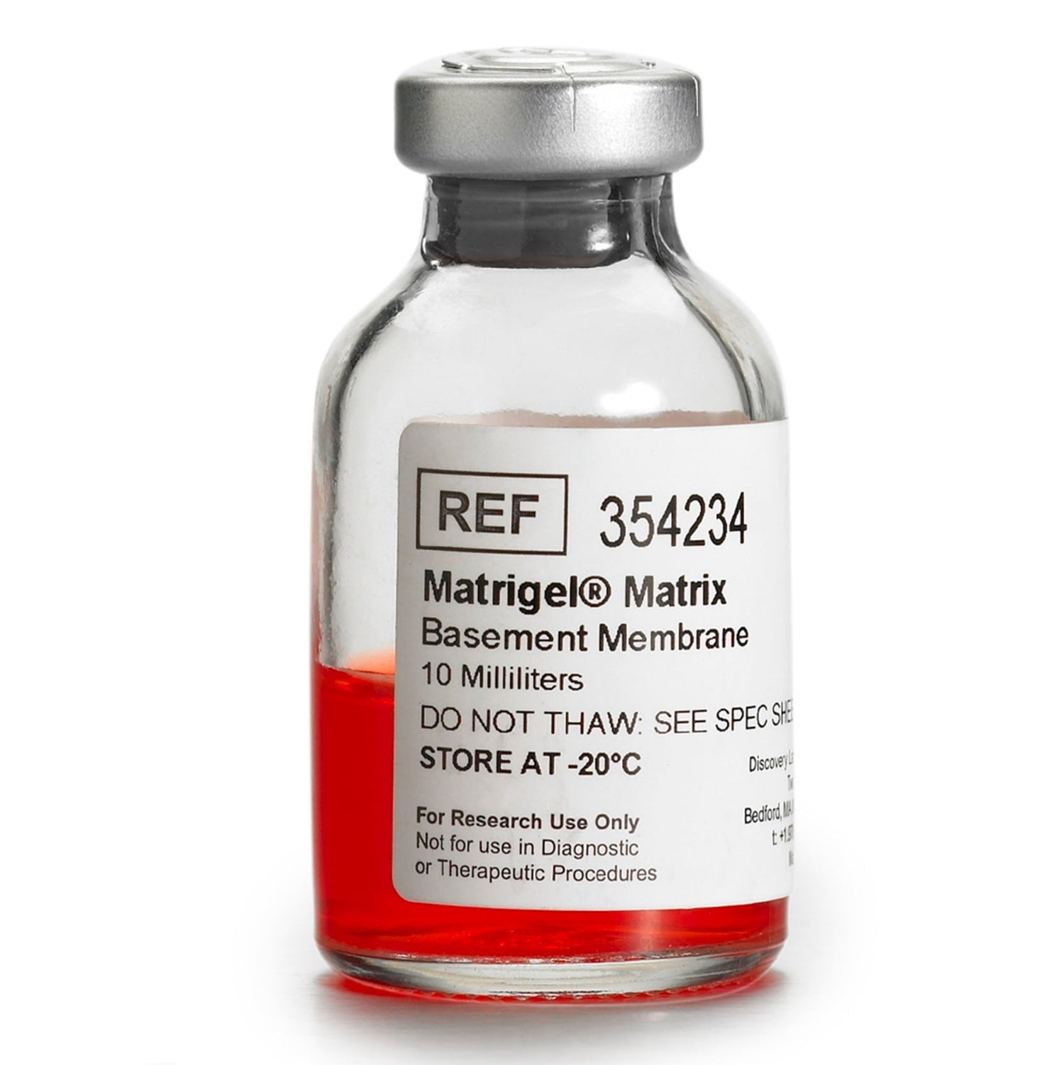 Extracellular Matrix (ECM)
