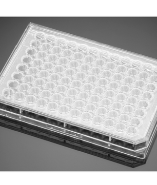 Falcon® Clear Flat Bottom TC-Treated Multiwell Cell Culture Plates, with Lid, Sterile