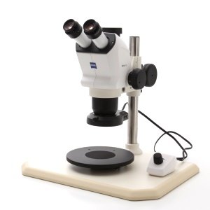 Stemi 508 Microscopes