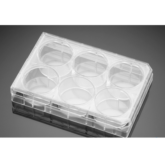 Corning® BioCoat™ Poly-L-Ornithine/Laminin 6 Well Clear Flat Bottom TC-Treated Multiwell Plate, with Lid, 5/Case