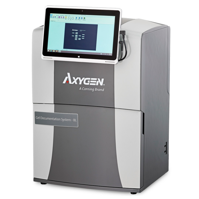 Axygen® Gel Documentation System BL – Appleton Woods | UK Lab Supplies