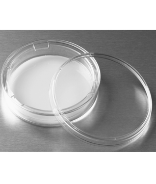 Transwell Permeable Supports, Polycarbonate, Corning