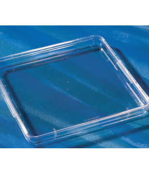 245x245mm square assay dishes, Corning