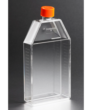 Tissue Culture Flasks, Untreated, Canted Neck, Vented Cap, Corning