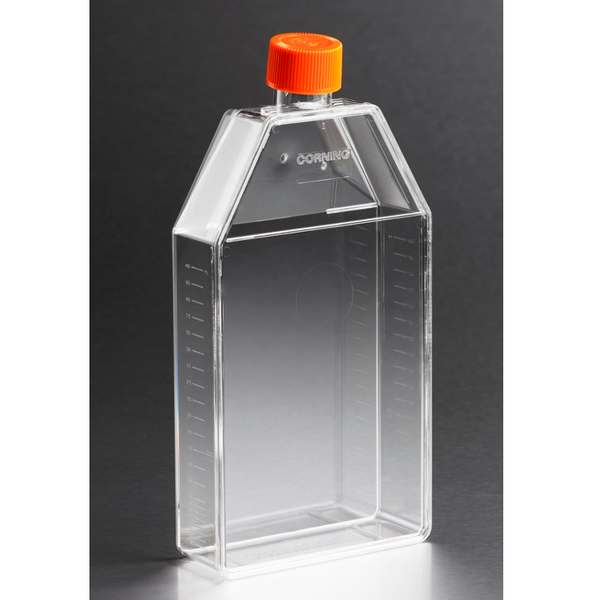 Tissue Culture Flasks, Untreated, Canted Neck, Vented Cap, Corning ...