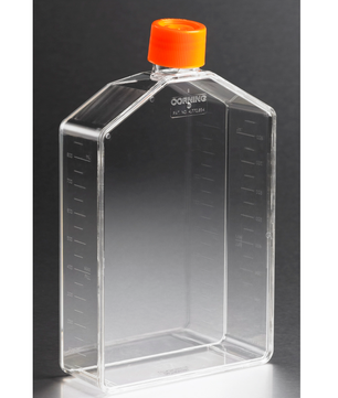 Tissue Culture Flasks, TC-Treated, Angled Neck, Corning