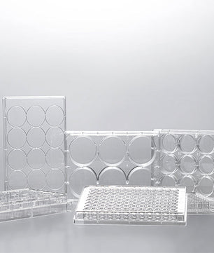 Tissue Culture Treated Plates, Jet Biofil