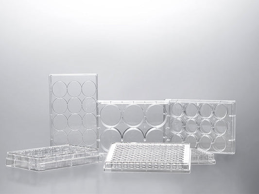 Tissue Culture Treated Plates, Jet Biofil