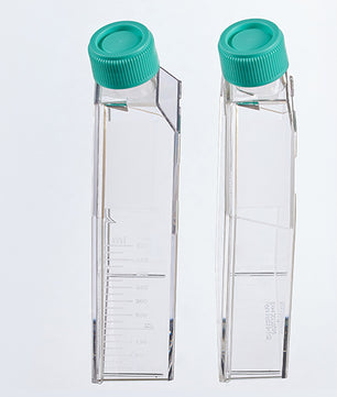 Tissue Culture Flasks, Jet Biofil