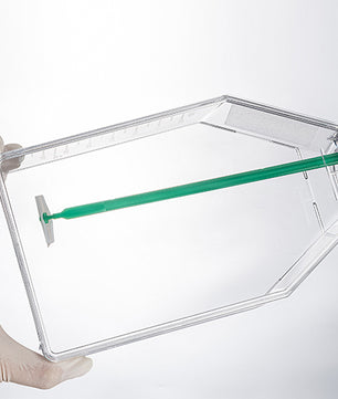 Tissue Culture Flasks, Jet Biofil