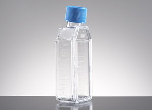 Corning® Primaria™ 25cm² Rectangular Canted Neck Cell Culture Flask with Vented  Cap