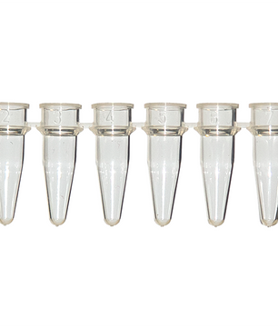 8-Strip 0.2ml PCR Tube Strips