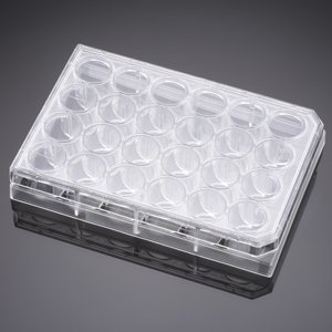 Corning® Primaria™ 24 Well Flat Bottom Surface Modified Multiwell Cell Culture Plate, with Lid, Ind. Wrapped, S, 50/Cs