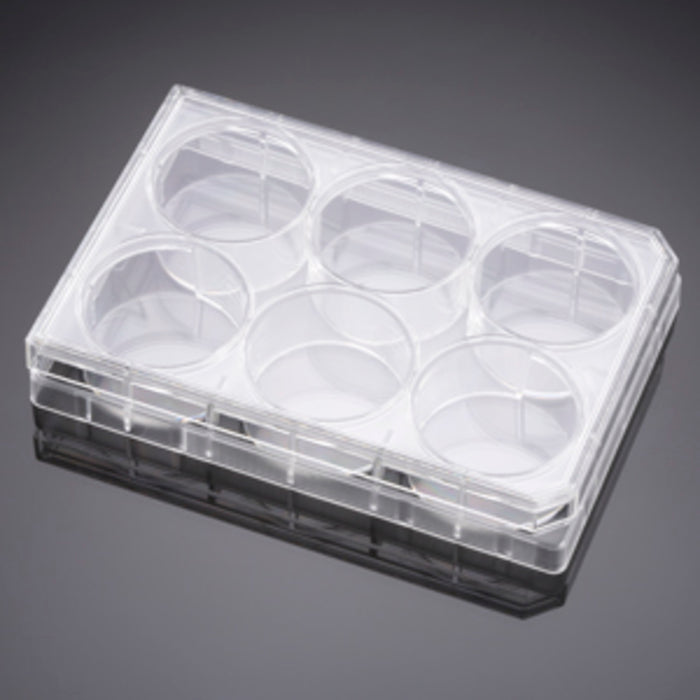 Corning® BioCoat™ Laminin 6 Well Clear Flat Bottom TC-Treated Multiwell Plate, with Lid, Nonsterile, 5/Case