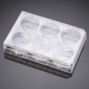 Corning® BioCoat™ Poly-D-Lysine 6 Well Clear Flat Bottom TC-Treated Multiwell Plate, with Lid, Nonsterile, 5/Case