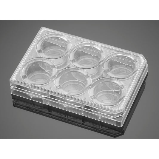 Corning® BioCoat™ Collagen IV 6 Well Clear Flat Bottom TC-Treated Multiwell Plate, with Lid, Nonsterile, 5/Case