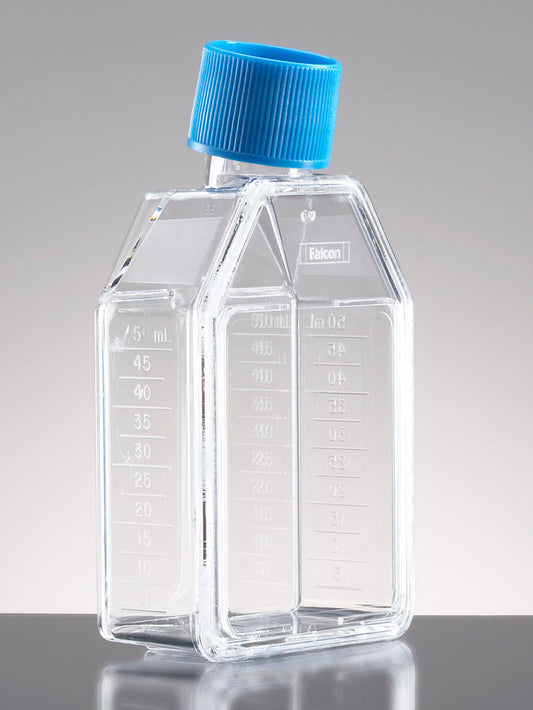 Corning® BioCoat™ Poly-D-Lysine 25cm² Rectangular Canted Neck Cell Culture Flask with Vented  Cap
