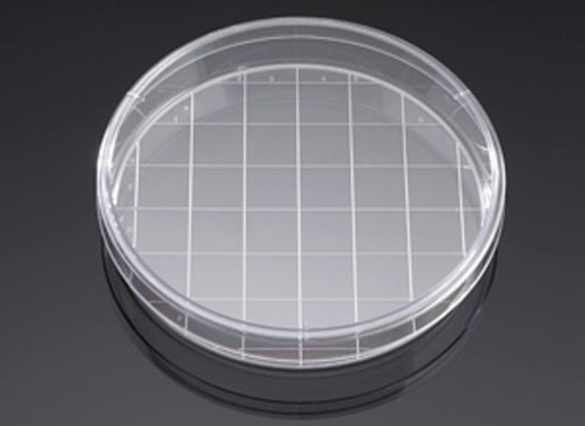 Corning® BioCoat™ Poly-D-Lysine 150mm TC-Treated Gridded Culture Dishes, 5/Pack, 5/Case, Nonsterile