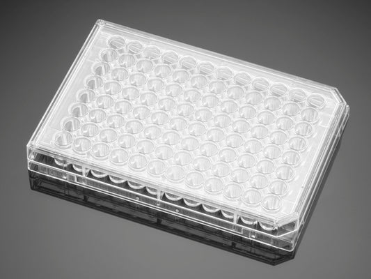 Corning® BioCoat™ Collagen I 48 Well Clear Flat Bottom TC-Treated Multiwell Plate, with Lid, Nonsterile, 10 sleeves of 5, 50/cs