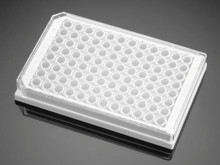 Corning® BioCoat™ Collagen I 96 Well White Flat Bottom TC-Treated Microplate, with Lid, 5/Pack, 50/Case