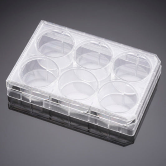 Corning® BioCoat™ Gelatin 6 Well Clear Flat Bottom TC-Treated Multiwell Plate, with Lid, Nonsterile, 5/Pack, 50/Case