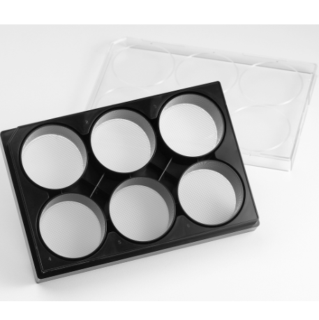 Corning 6 Well Black Clear Round Bottom Ultra-Low Attachment Micro-Cav ...