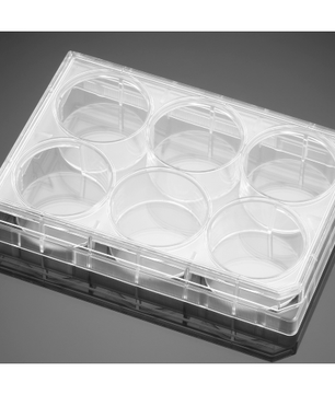Falcon® Clear Flat Bottom TC-Treated Multiwell Cell Culture Plates, with Lid, Sterile