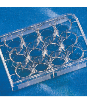 Multi-Well Plates, CellBIND, Individually Wrapped, Corning
