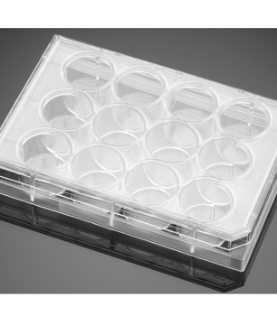 Falcon® Clear Flat Bottom TC-Treated Multiwell Cell Culture Plates, with Lid, Sterile