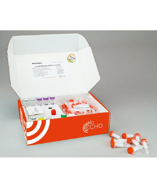 EchoLUTION Tissue DNA Micro Kit, BioEcho